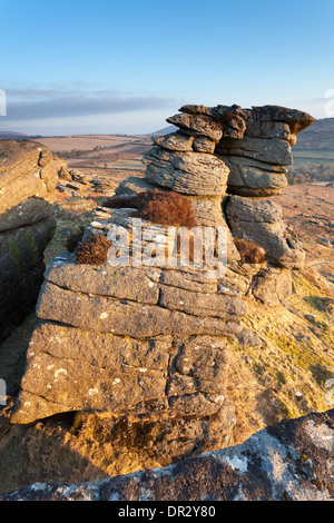 Sperone di roccia a Hound Tor, Dartmoor su un croccante di mattina di primavera Foto Stock