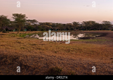 Waterhole presso sunrise da Serena Sweetwaters Tented Camp Ol Pejeta Conservancy, Nanyuki, Monte Kenya Foto Stock