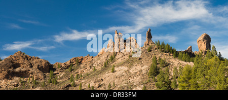 Serie di pinnacoli rocciosi tra cui Roque de Aguja (l'ago), La Rana (rana) e Roque Nublo, Gran Canaria Foto Stock