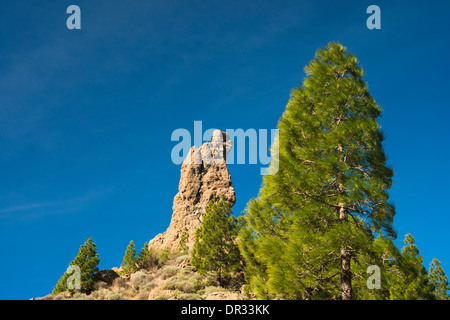 I pinnacoli rocciosi di Roque de Aguja (l'ago) sul Roque Nublo altopiano, Gran Canaria Foto Stock