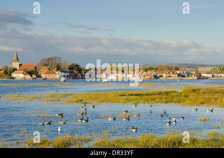 Brent Goose [Branta bernicla] panciuto scuro [Branta bernicla bernicla] nel porto di Chichester, con Bosham village. Sussex. Regno Unito. Foto Stock