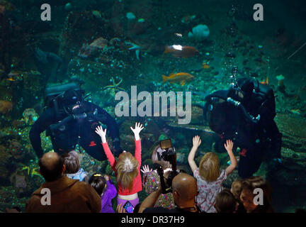 Vancouver, Canada. 18 gennaio, 2014. I tuffatori dal Royal Canadian Navy Dimostrare competenze subacquee sotto acqua durante i subacquei' evento di fine settimana a Vancouver in Canada, Gennaio 18, 2014. Il Vancouver Aquarium ha ospitato il suo quindicesimo Divers' Weekend, un evento annuale per la presentazione di varie attrezzature subacquee e fornendo i seminari per i visitatori a conoscere le immersioni. © Liang Sen/Xinhua/Alamy Live News Foto Stock