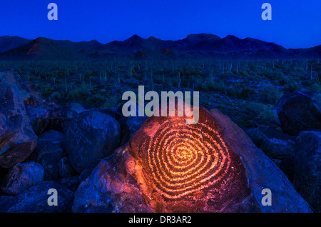 Incisioni rupestri su Signal Hill, Parco nazionale del Saguaro (Tucson distretto di montagna), Tuscon, Arizona USA Foto Stock