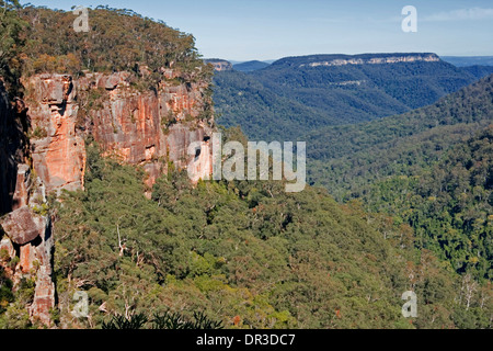 Vista spettacolare delle montagne e valli boscose della grande gamma di divisione dal belvedere nel Morton National Park NSW Australia Foto Stock
