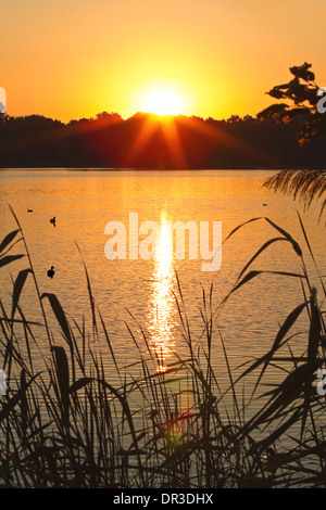 Alba sul lago con alone attorno al sole che prediceva cattivo tempo Foto Stock