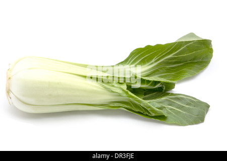 Cavolo cinese isolati su sfondo bianco Foto Stock