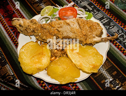 Peruviano tradizionale pasto della guinea di arrosto di maiale con patate, fagioli e insalata fresca servita nel ristorante nella città di Ayacucho Perù Foto Stock