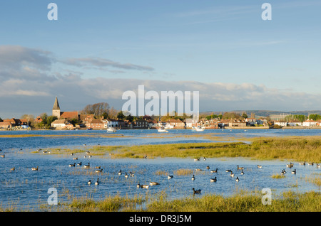 Brent Goose [Branta bernicla] panciuto scuro [Branta bernicla bernicla] nel porto di Chichester, con Bosham village. Sussex. Regno Unito. Foto Stock