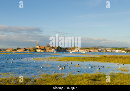 Brent Goose [Branta bernicla] panciuto scuro [Branta bernicla bernicla] nel porto di Chichester, con Bosham village. Sussex. Regno Unito. Foto Stock