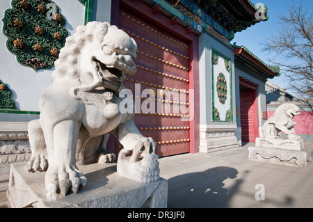 Lion statua di fronte alla Biblioteca nazionale della Cina (NLC) a 33 Zhongguancun South Street, Haidian, Pechino, Cina Foto Stock