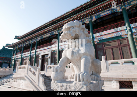 Lion statua di fronte alla Biblioteca nazionale della Cina (NLC) a 33 Zhongguancun South Street, Haidian, Pechino, Cina Foto Stock