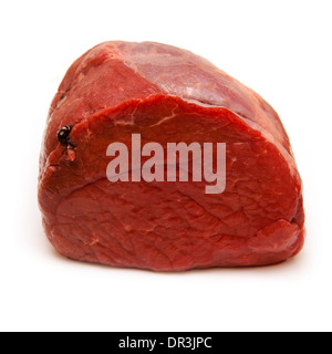 Carni bovine la tostatura giunto (1kg) isolato su una bianca di sfondo per studio. Foto Stock