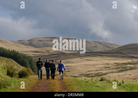 Un gruppo di 4 persone a piedi con un cane su un percorso vicino Croasdale, Lake District, Inghilterra, Regno Unito. Il gruppo è il colpo da dietro. Foto Stock
