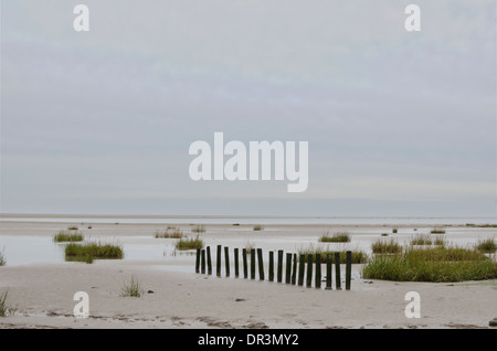 Un quasi composizione monocromatica di una linea di posti sulla spiaggia Bardsea, su un triste giorno sotto un cielo grigio. Foto Stock