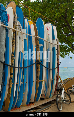 Tavole da surf in Kuhio Beach Park, della spiaggia di Waikiki, Honolulu Oahu, Hawaii Foto Stock