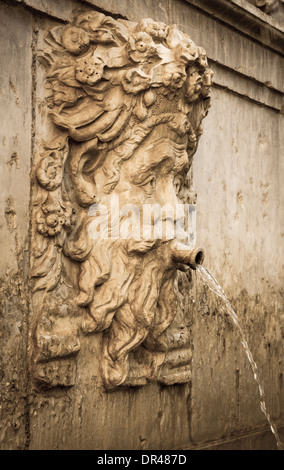 Fontana in dettaglio La Alhambra Palace, Granada, Spagna Foto Stock