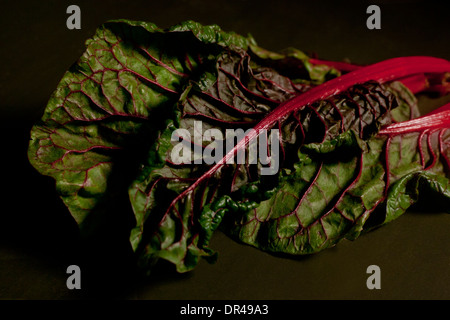 Dark ancora vita chard Foto Stock