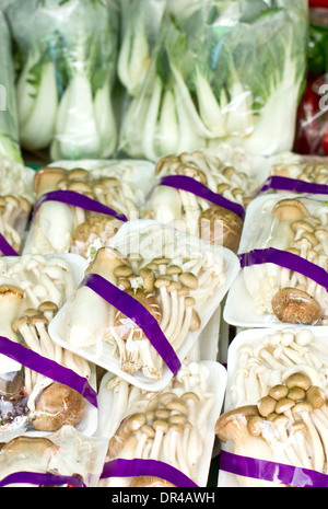 Mescolare i funghi con pack nel mercato. Foto Stock