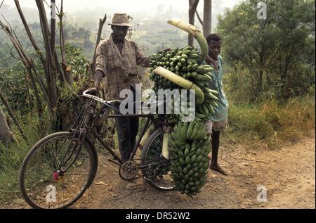 La coltivazione delle banane in Uganda Africa Foto Stock