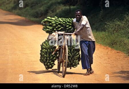 La coltivazione delle banane in Uganda Africa Foto Stock