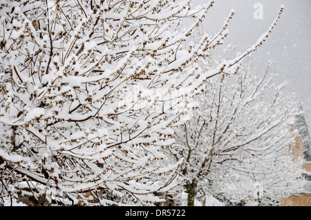 Neve in Valldemossa. Un villaggio situato nella Serra de Tramuntana a nord di Mallorca. Foto Stock