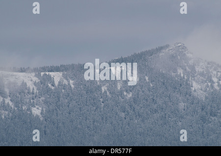 Osser mountain con la neve in inverno, Foresta Bavarese, Germania Foto Stock