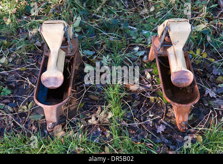 Bevitori automatico per bovini, REGNO UNITO Foto Stock