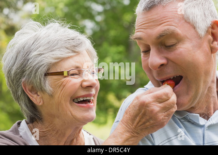 Senior donna alimentazione di fragola per uomo Foto Stock