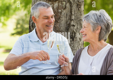 Felice coppia senior di tostatura flauti di champagne presso il park Foto Stock