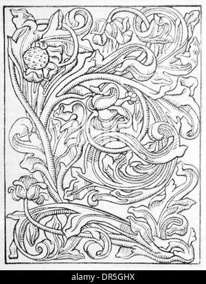 Ornamento fiorito dal libro alfabeto di lettere grandi 1500 pubblicato a Venezia Foto Stock