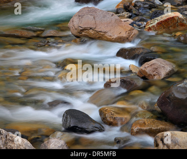 Dettaglio del fiume in Canon de Anisclo nella regione di Aragona di Spagna Foto Stock