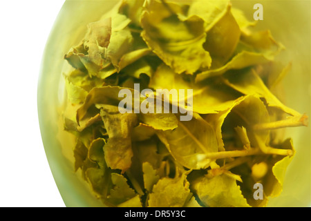 Foglie di tè verde sul fondo di un bicchiere di acqua bollita, macro shot incentrata sul centro dell'immagine Foto Stock