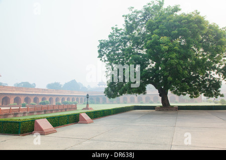 Giardino Formale (Charbagh o giardino Mughal) nella parte anteriore del Taj Mahal in Agra nella nebbia di mattina Foto Stock