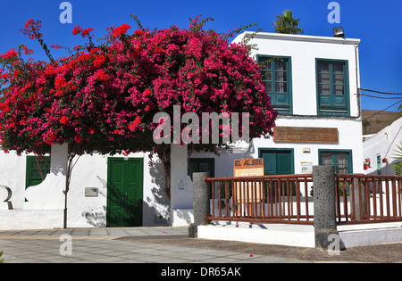 Luogo Plaza de la Costituzione, centro di Haria, Lanzarote, Isole Canarie, Canarie, Spagna Foto Stock