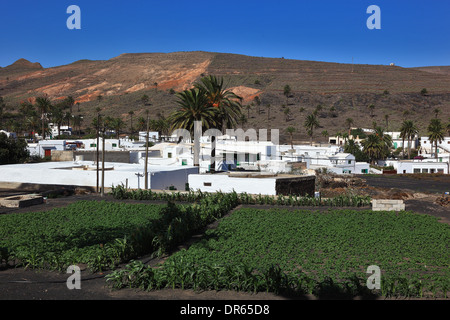 Ubicazione Haria, a nord di Lanzarote, Isole Canarie, Canarie, Spagna Foto Stock