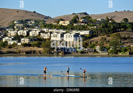 Amici paddleboarding su Richardson Bay a Marin County in California Foto Stock