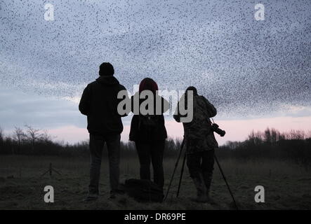 Gli amanti del birdwatching fotografare un murmuration di storni nel Parco Nazionale di Peak District, Derbyshire. Regno Unito Foto Stock