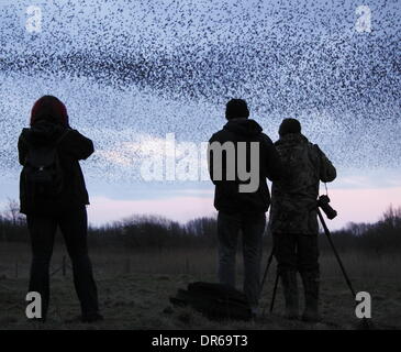 Gli amanti del birdwatching fotografare un murmuration di storni nel Parco Nazionale di Peak District, Derbyshire. Regno Unito Foto Stock