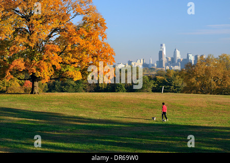 Donna che cammina i suoi cani su Belmont Altopiano di Fairmount Park, Philadelphia, Pennsylvania su un bel pomeriggio d'autunno. Foto Stock