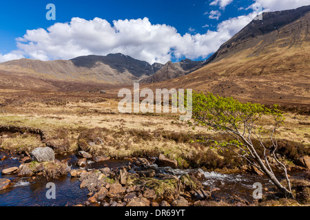 Il Cuillin Hills da accanto al cocco Allt un Mhadhaidh sul pool di fata a piedi, Glen fragile, Isola di Skye Foto Stock