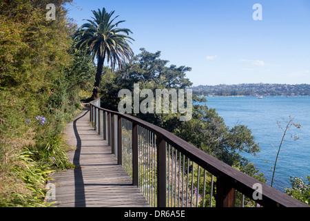 Il Boardwalk su Hermitage Foreshore a piedi il porto di Sydney National Park Sydney New South Wales NSW Australia Foto Stock