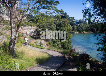 Il Boardwalk su Hermitage Foreshore a piedi il porto di Sydney National Park Sydney New South Wales NSW Australia Foto Stock