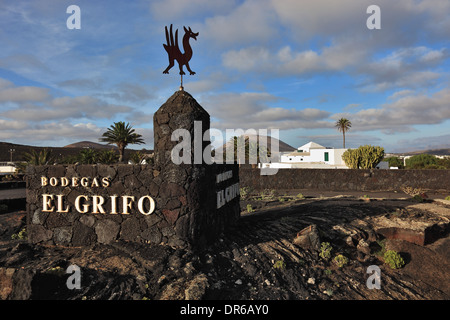 El Grifo Museo del Vino e Bodega Cantina, La Geria regione di Lanzarote, Isole Canarie, Canarie, Spagna Foto Stock