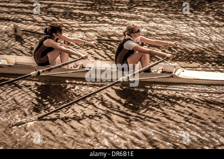 Vogatore femminile in una barca a remi a doppio scafo Foto Stock