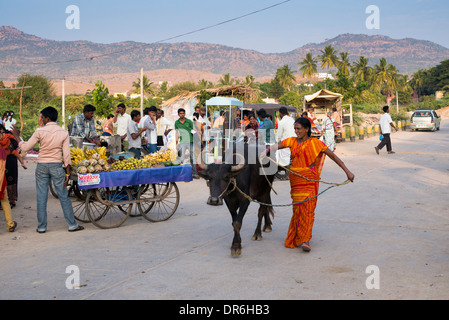 Donna indiana leader di un bufalo indiano di acqua attraverso un Indiano street mercato ortofrutticolo. Puttaparthi, Andhra Pradesh, India Foto Stock