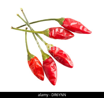 Peperoncino rosso isolato su sfondo bianco Foto Stock