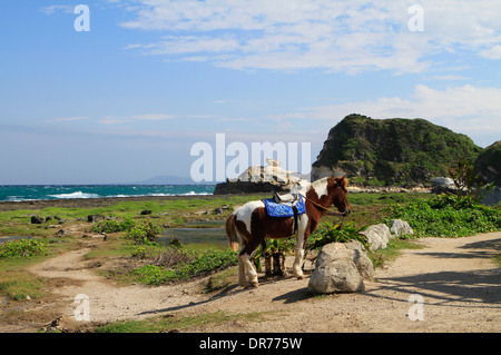 Il Kapurpurawan formazioni rocciose a Burgos, Ilocos Norte, Filippine Foto Stock