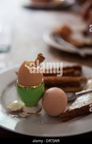 Uova, uova sode, colazione, soldati, verdi tazza di uova, toast, mattina Foto Stock