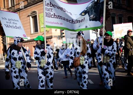 Berlino, Germania. 18 gennaio, 2014. Manifestanti tenere banner su una manifestazione di protesta per il 18 gennaio 2014 a Berlino, Germania. Diverse migliaia di manifestanti hanno partecipato al mese di marzo in segno di protesta contro organismi geneticamente modificati in agricoltura relativi alla Settimana verde di Berlino. Il 18 gennaio 2014. © Odeta Catana/NurPhoto/ZUMAPRESS.com/Alamy Live News Foto Stock