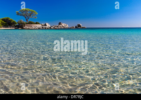 Spiaggia di Palombaggia Porto Vecchio, Corse-du-Sud, Corsica, Francia Foto Stock